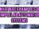 What Are Examples Of Simple Lab Automation Systems